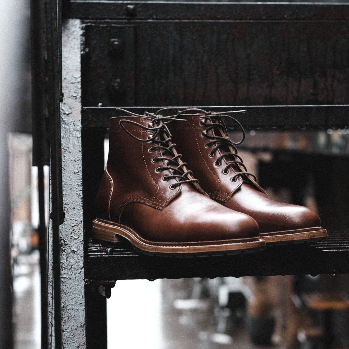 Lisbon - Toscanello Horse TPR