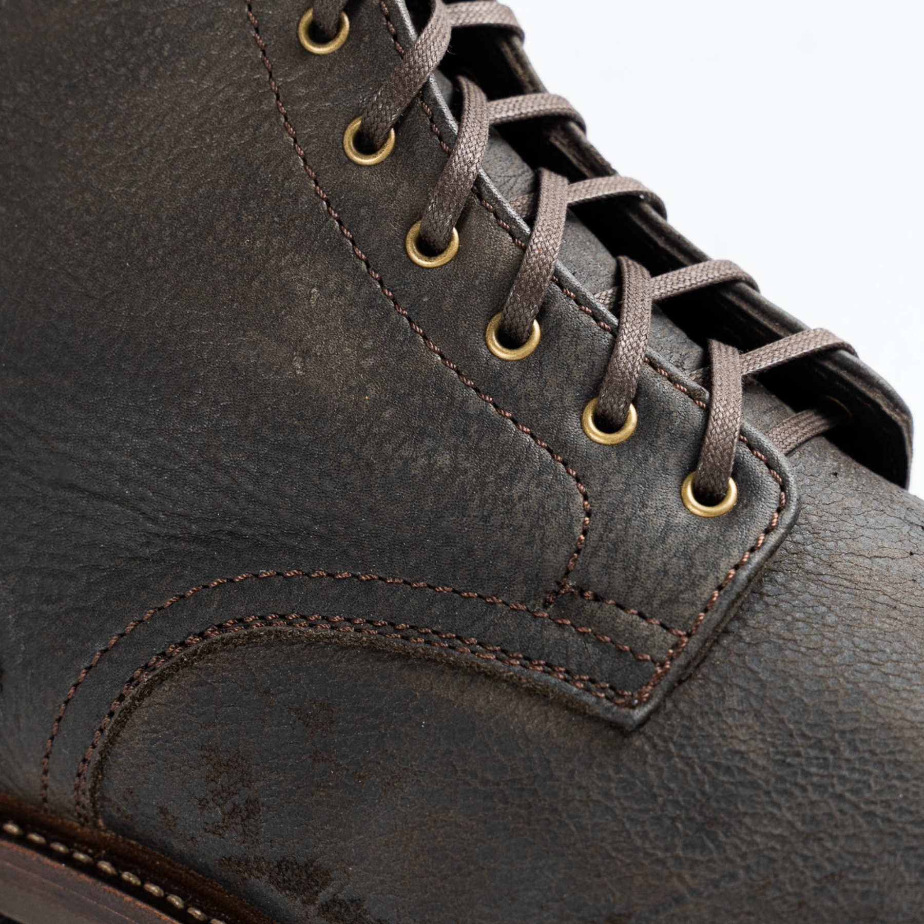 Lisbon - African Kudu Zulu Hyena