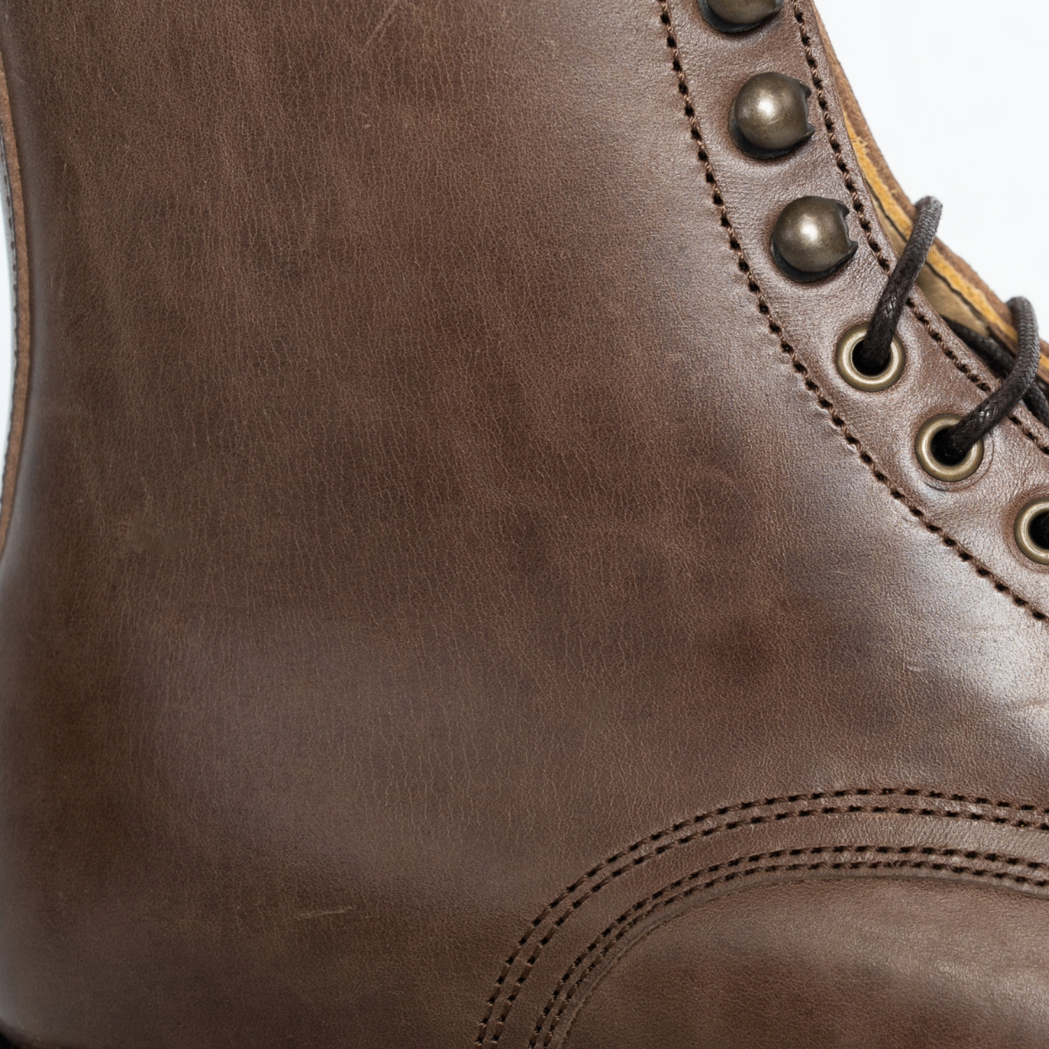 Wilson - 1071 Horse TPR