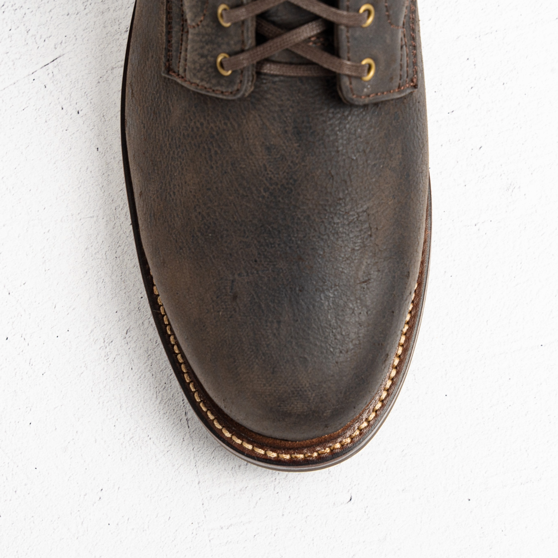 Lisbon - African Kudu Zulu Hyena