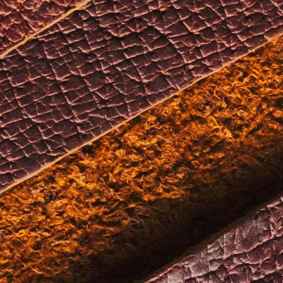 Wild Boar Card Wallet